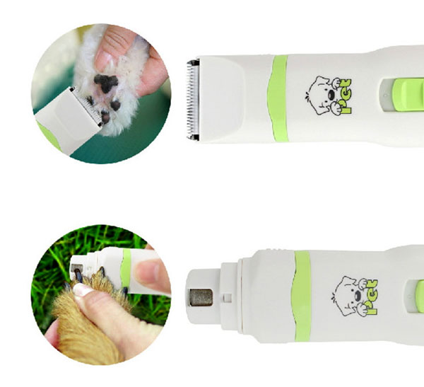 cắt lông mài móng