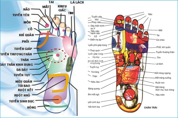 bon-massage-chan-le-tong