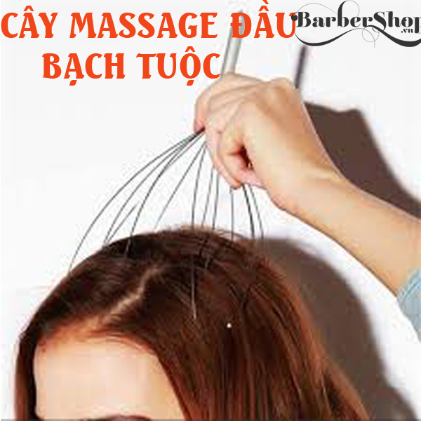 Cây massage đầu bạch tuột