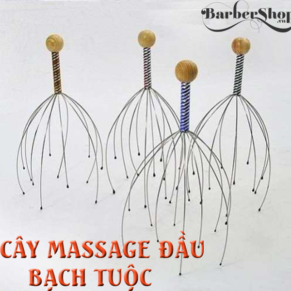 Cây massage đầu bạch tuột