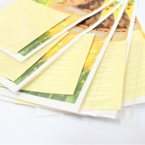 bộ dụng cụ bấm mi và dán mí bo dung cu dan mi va bam mi